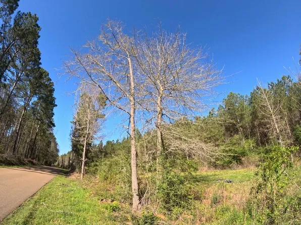 Pleasant Hill Dr SE, Bogue Chitto, MS 39629