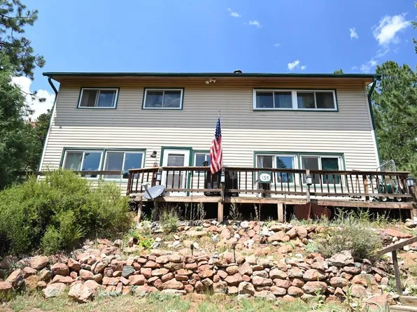 135 Brookside Dr, Bailey, CO 80421