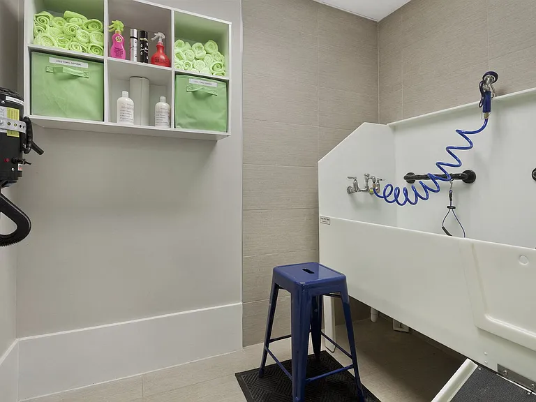 Convenient dog wash with ramp to wash tub and hair dryer