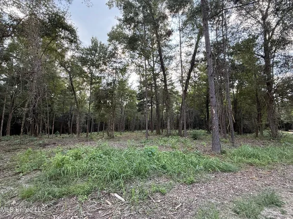 Vicie Ln, Leakesville, MS 39451
