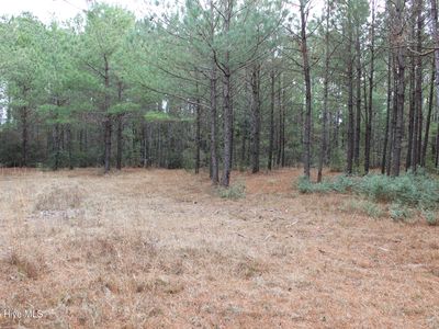 Lot 1 Callaway Court, Hampstead, NC, 28443
