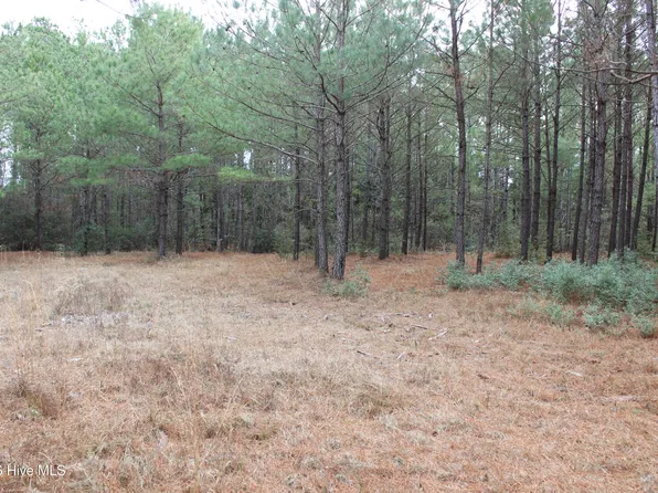 Lot 1 Callaway Court, Hampstead, NC 28443