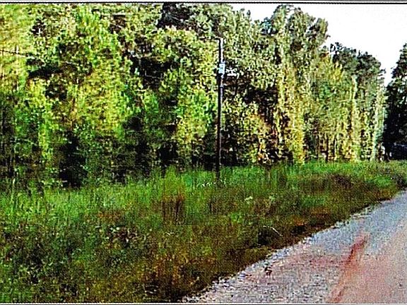 2nd image of 0 Felton McMichael Rd #90-091