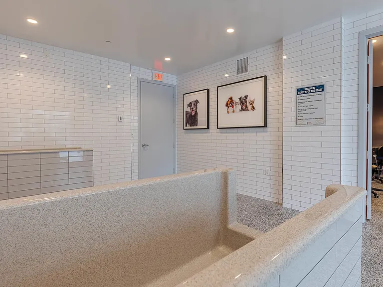 Pet grooming spa room
