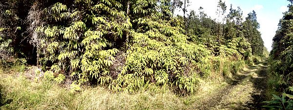 1st image of Road 6 Lot 26
