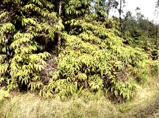 Road 6 LOT 26, Mountain View, HI 96771