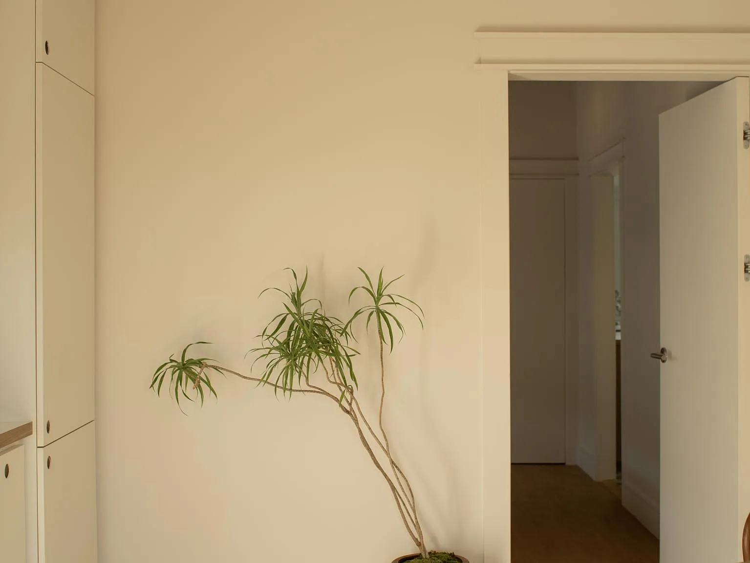 Studio, 525 sqft, $2,950 — Photo 4