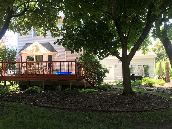 Park-like backyard
