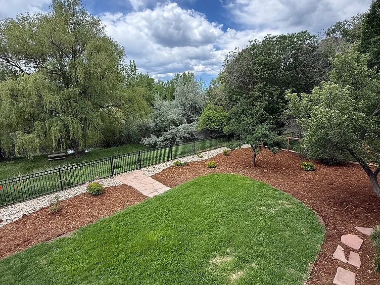 Back yard