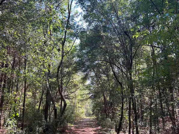 0 Chinquapin Rd, Milton, FL 32570