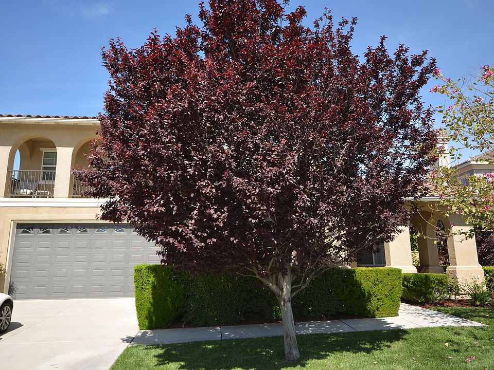 2nd image of 45614 Basswood Ct