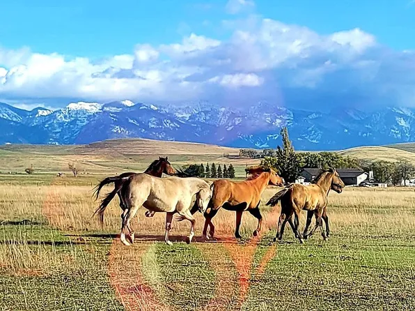 43010 Eli Gap Rd, Polson, MT 59860