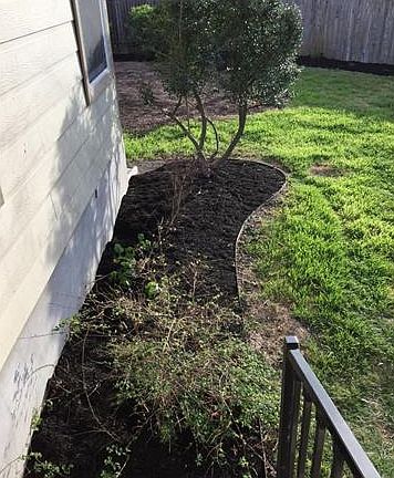 5th image of 3609 Bach Dr