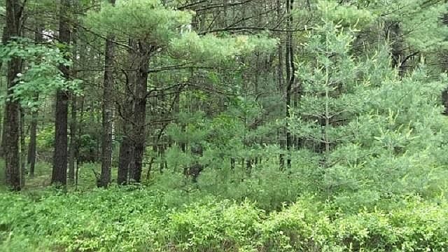 2nd image of 0 Fawn Ln