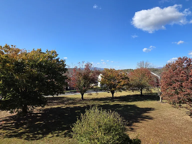 Carefree Place — Photo 12