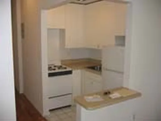 Rented by Eric Goodman Realty Corp | media 18