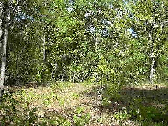 maybe build is in your future?