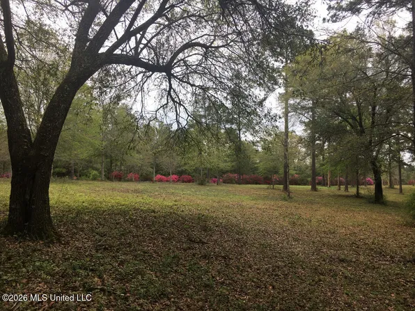 1 Lost Lunker Dr, Poplarville, MS 39470