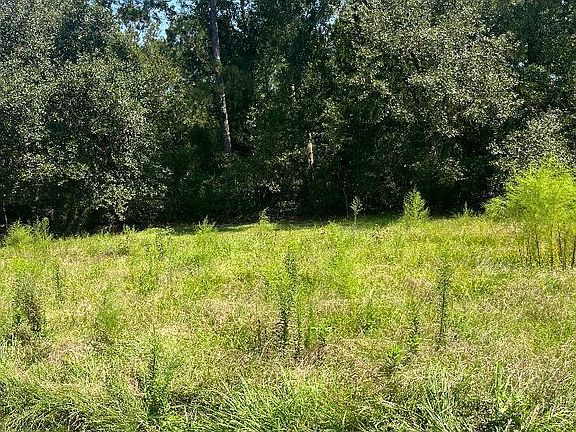 5th image of 17241 Old Joe Moran Rd