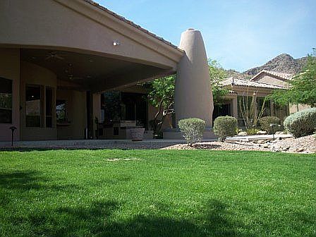 Real Grass to play in