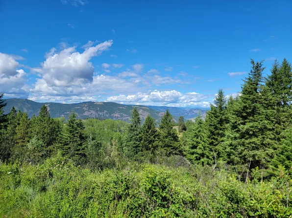 29 Yellow Brick Rd, Curlew, WA 99118