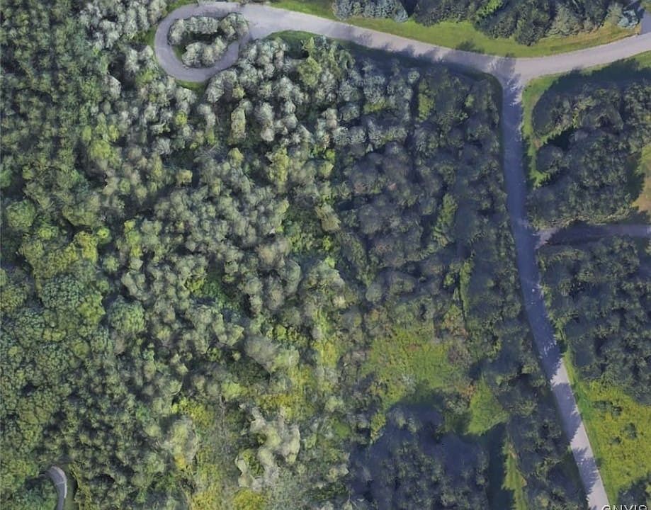 Gorgeous 5.5 acre parcel in Whitney Farm Estates!