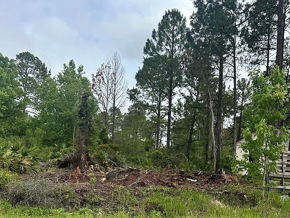 2nd image of 0 Reynolds Rd