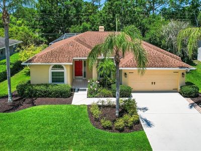 2498 Saddlewood Ln, Palm Harbor, FL, 34685