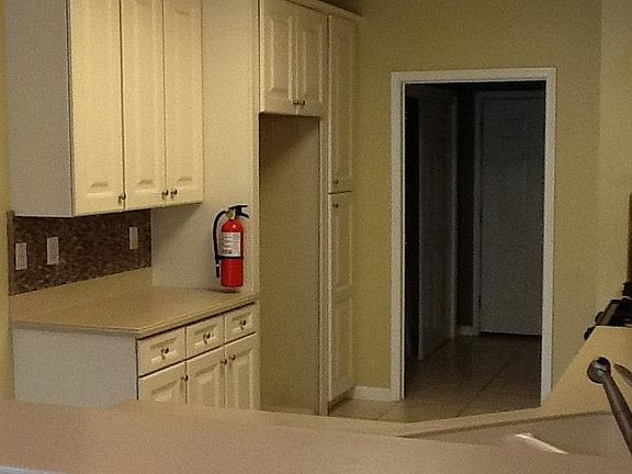 Large kitchen cabinets