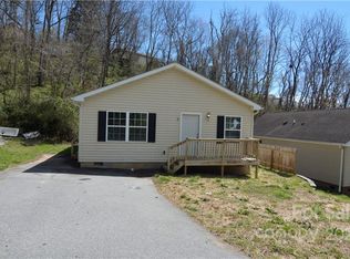3 Short Vine St, Asheville, NC 28804