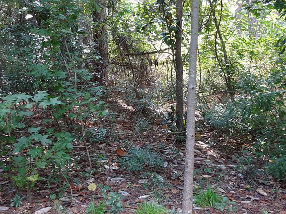 3rd image of 8 Rock Springs Dr