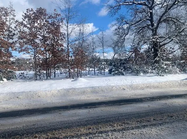 PARCEL 1 N West County Line Rd, Newaygo, MI 49337