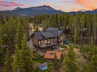 31 Burro Ln, Breckenridge, CO 80424