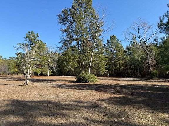 3rd image of 9136 Wakulla Springs Rd
