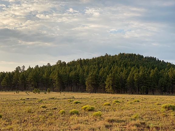 Kaibab National Forest