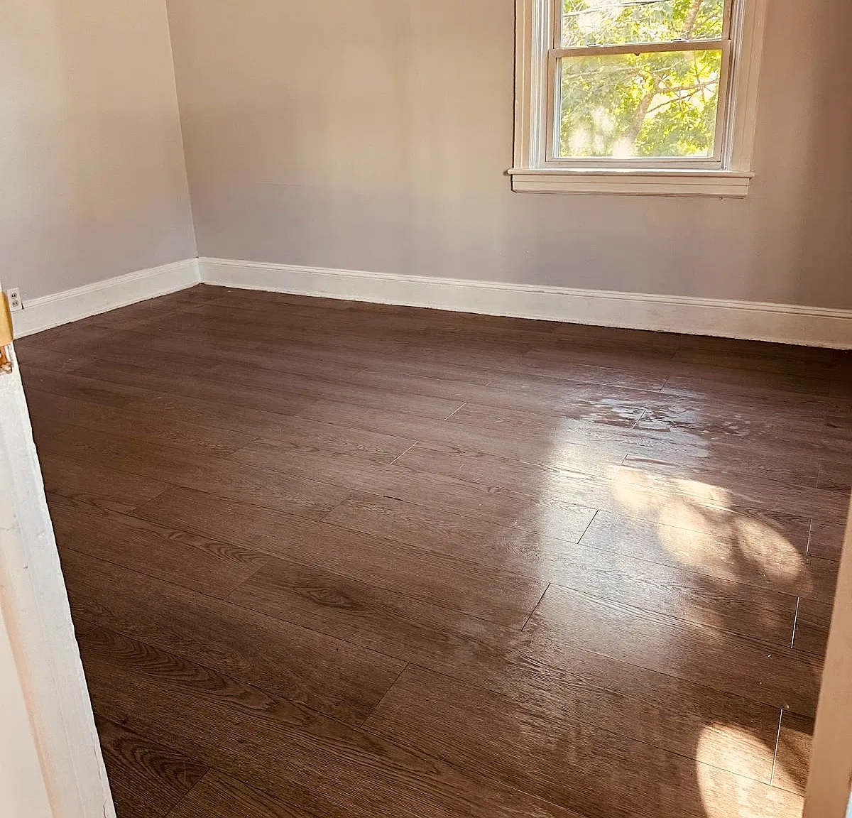 1 bed, $1,150 — Photo 4