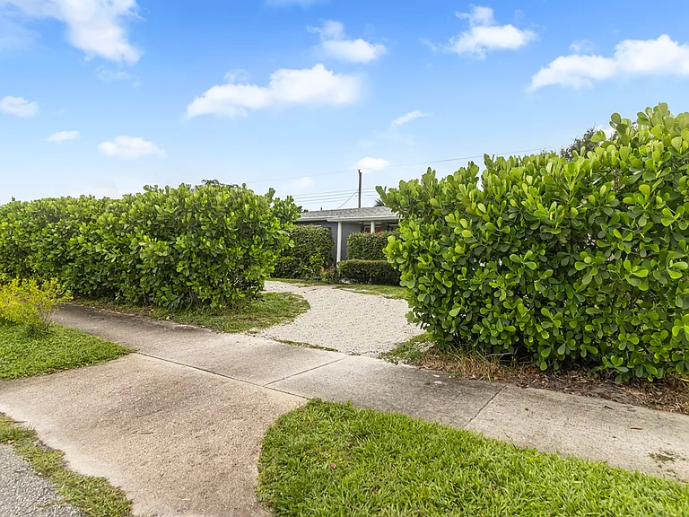 Foresteria Dr — Photo 5