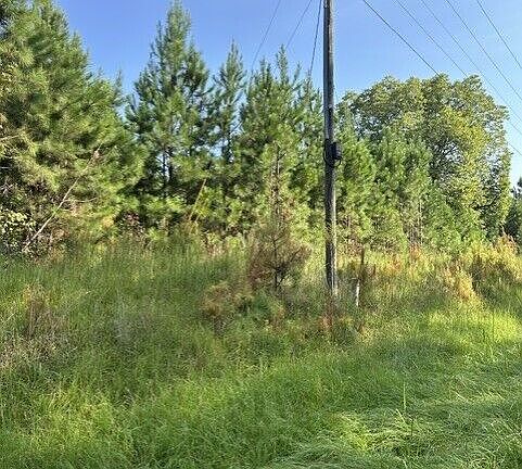 4th image of 806 Pea Ridge Rd