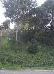 1st image of 6101 Oakdale Ave