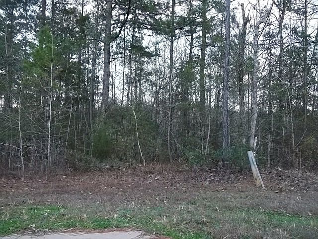 1st image of 438 Columbine Dr
