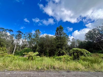 Road 5 Lot 227, Volcano, HI, 96785