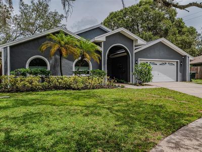 1014 Bramblewood Ct, Safety Harbor, FL, 34695