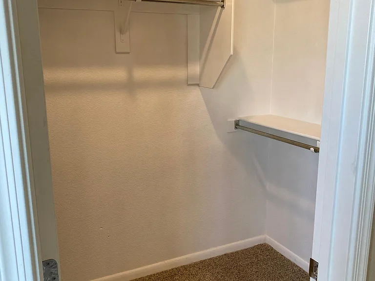 Master closet (walk-in)