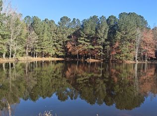 461 McDonough Rd, Hampton, GA 30228