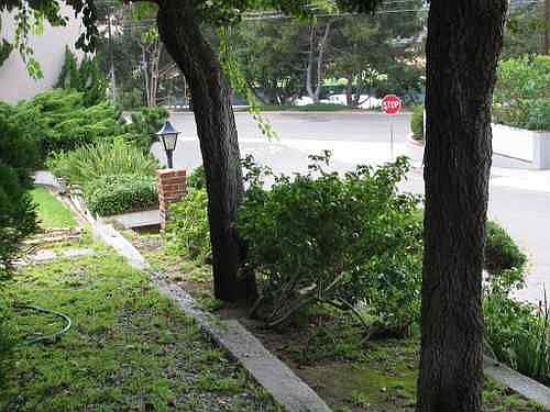 Front Yard Looking West