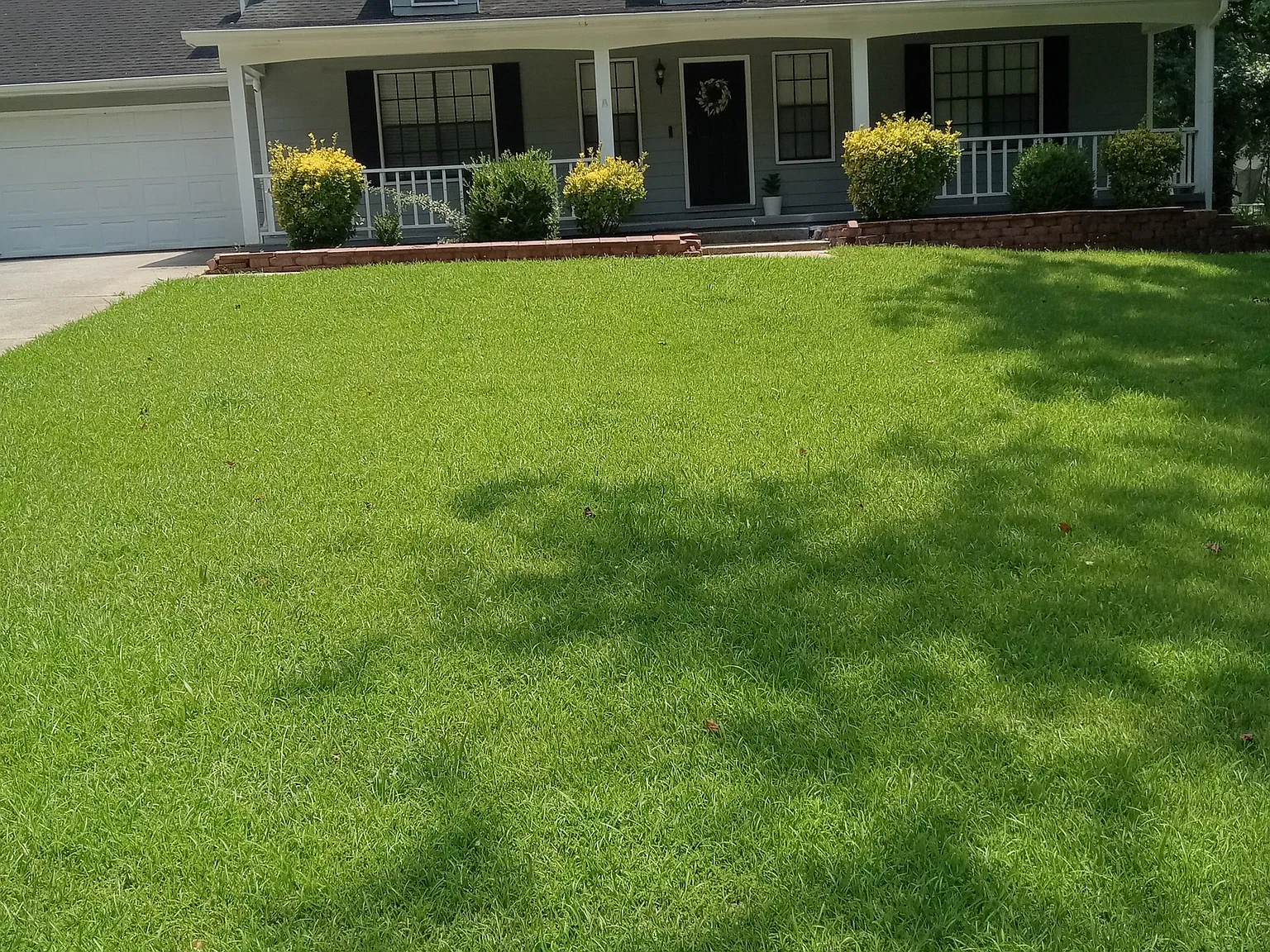 3 bed, 2.0 bath, 1500 sqft, $1,650 — Photo 3