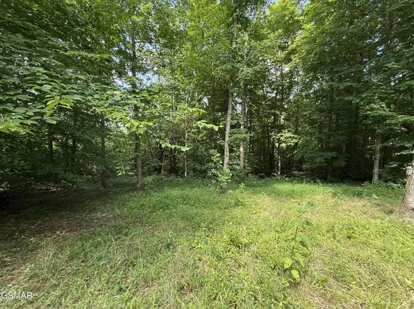 171 Jack Green Rd, Whitleyville, TN 38588