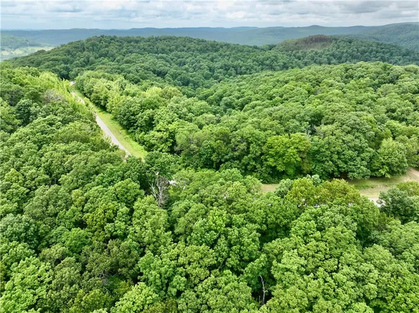 Highway 16, Pettigrew, AR 72752