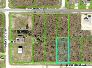 Scissorbill Avenue Lot #17, Brooksville, FL 34614