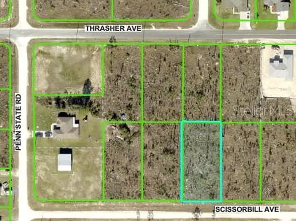 Scissorbill Avenue Lot #17, Brooksville, FL 34614